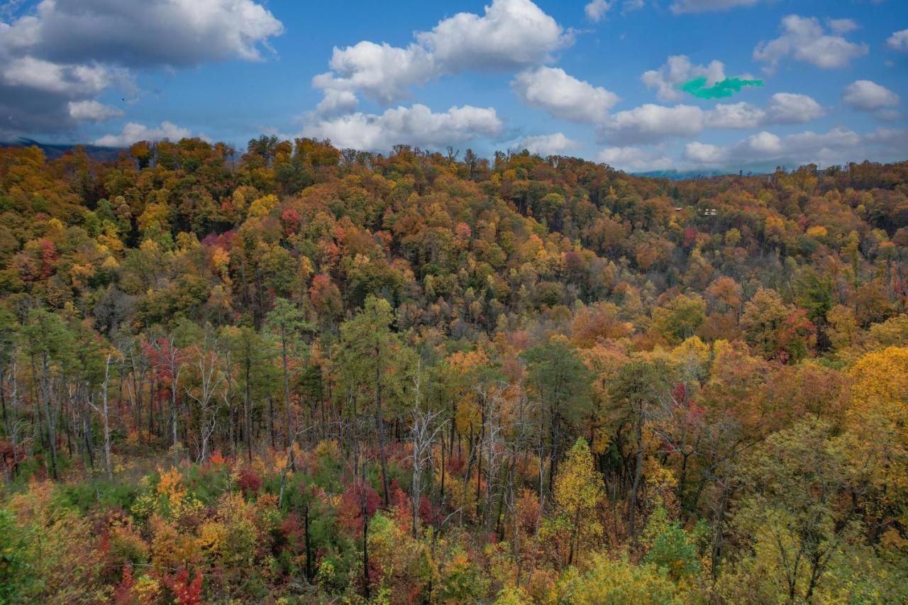 The Overlook - '21 Cabin - Gorgeous Unobstructed Views - Fire Pit Table - Gamerm - Hottub - Xbox - Lots Of Bears Gatlinburg Luaran gambar